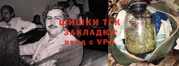 ПСИЛОЦИБИНОВЫЕ ГРИБЫ Осташков