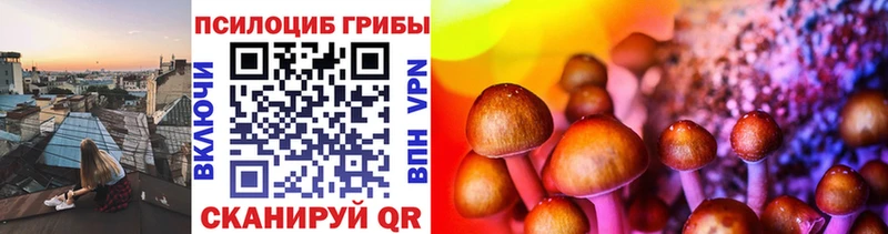 купить  сайты  площадка какой сайт  Галлюциногенные грибы Magic Shrooms  Кириллов 